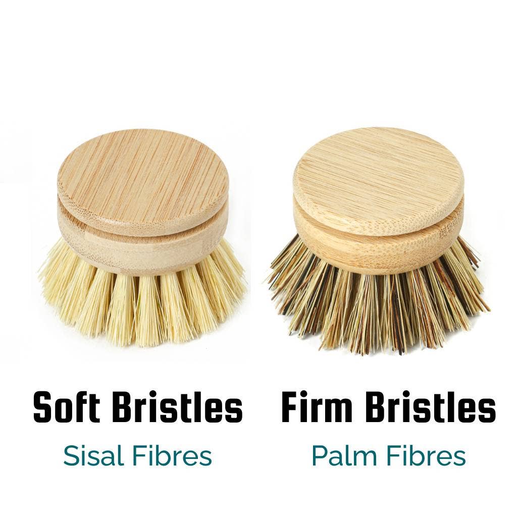Replacement Head for Reusable Dish Brush | Bamboo Brushes - Earth & Willow - Jungle Culture - Earth & Willow