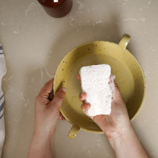 Eco Dish Sponges | Pack of 4 - Earth & Willow - Jungle Culture - Earth & Willow