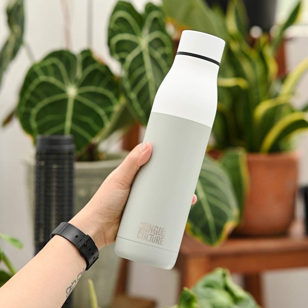 Jungle Culture Insulated Stainless Steel Water Bottle - (650ml) - Earth & Willow - Jungle Culture - Earth & Willow