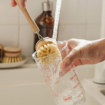 Reusable Bamboo Dish Brush - Earth & Willow - Earth & Willow - Earth & Willow